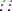 Black Buddha Fire, purple