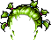 Black Crazy Medusa, green