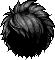 Black Lion Hair