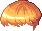 Ruya Hair, orange