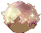 Cosmos Hair, brown