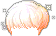 Foggy Ciel Hair, orange