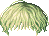Wiry Hair, green