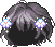 Flower Poodle Hair