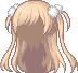 Double Ponytail Hair, brown