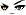 Cursed Eyes Face
