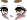 Raccoon Face