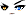 Cursed Eyes Face