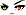 Cursed Eyes Face