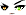 Cursed Eyes Face