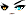 Cursed Eyes Face