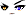 Cursed Eyes Face