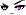 Cursed Eyes Face