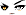 Cursed Eyes Face