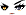 Cursed Eyes Face
