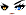 Cursed Eyes Face