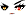 Cursed Eyes Face