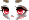 Raccoon Face