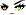 Cursed Eyes Face