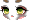 Raccoon Face