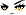 Cursed Eyes Face