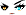 Cursed Eyes Face