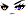 Cursed Eyes Face