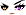 Cursed Eyes Face