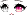 Persian Cat Face