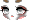 Raccoon Face