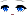 Sapphire Face
