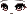 Vivid Face