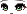 Vivid Face