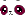 Panda Face