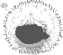 Soft Dandelion Seed Hair