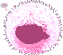 Soft Dandelion Seed Hair, red