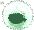Soft Dandelion Seed Hair, green