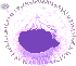 Soft Dandelion Seed Hair, purple