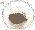 Soft Dandelion Seed Hair, brown