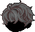 Strobilanthes Oligantha Hair