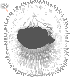 Soft Dandelion Seed Hair