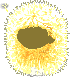 Soft Dandelion Seed Hair, blonde