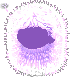 Soft Dandelion Seed Hair, purple