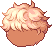 Very Curly Hair, orange