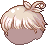 Papulatus Hair, brown