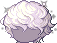 Tarot Hair