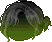 Black Mint Hair, green